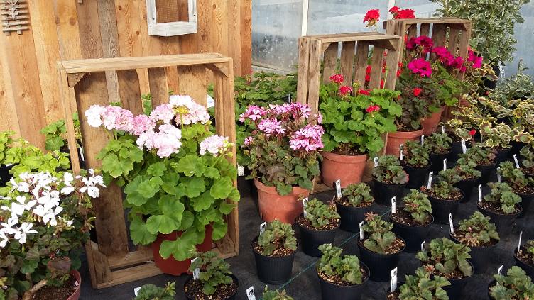 Bio Gartencenter Ruswil