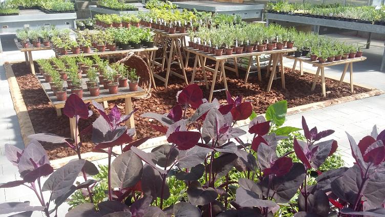 Bio Gartencenter Ruswil