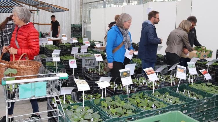 ProSpecieRara Setzlingsmarkt Wil, SG