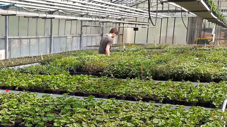 Berufsbildung Gärtner EFZ (m/w/d)