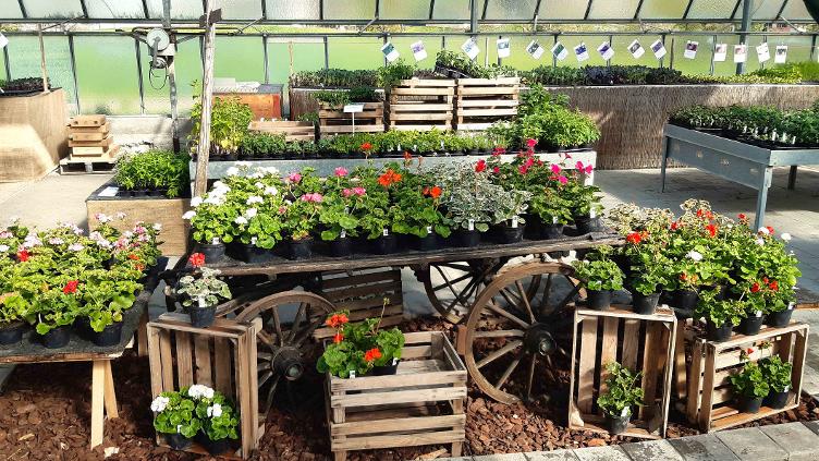 Berufsbildung Gärtner EFZ (m/w/d)