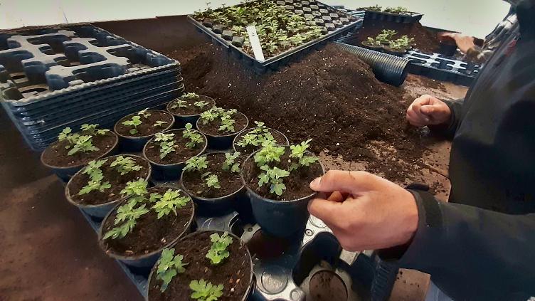 Praktikum 2026 (m/w/d)