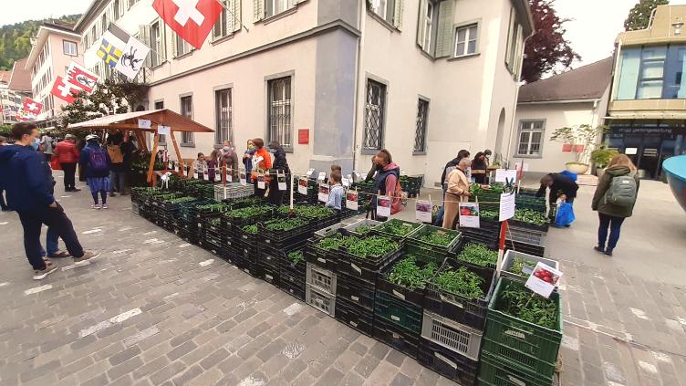 ProSpecieRara Setzlingsmarkt Chur