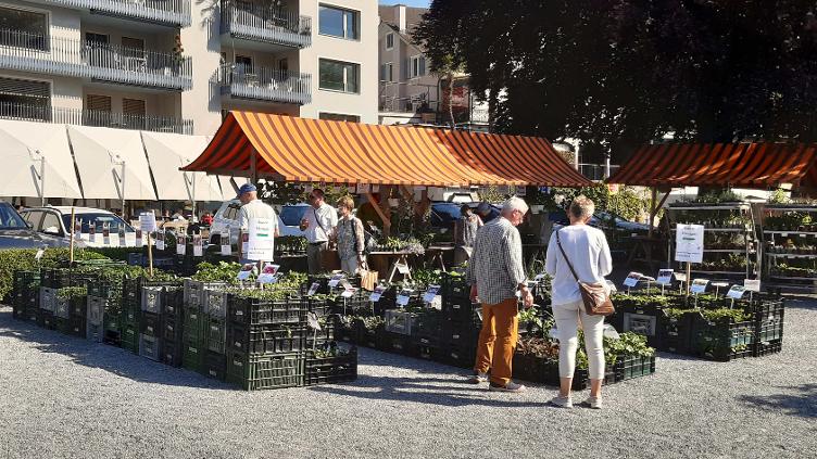 ProSpecieRara Setzlingsmarkt Weggis