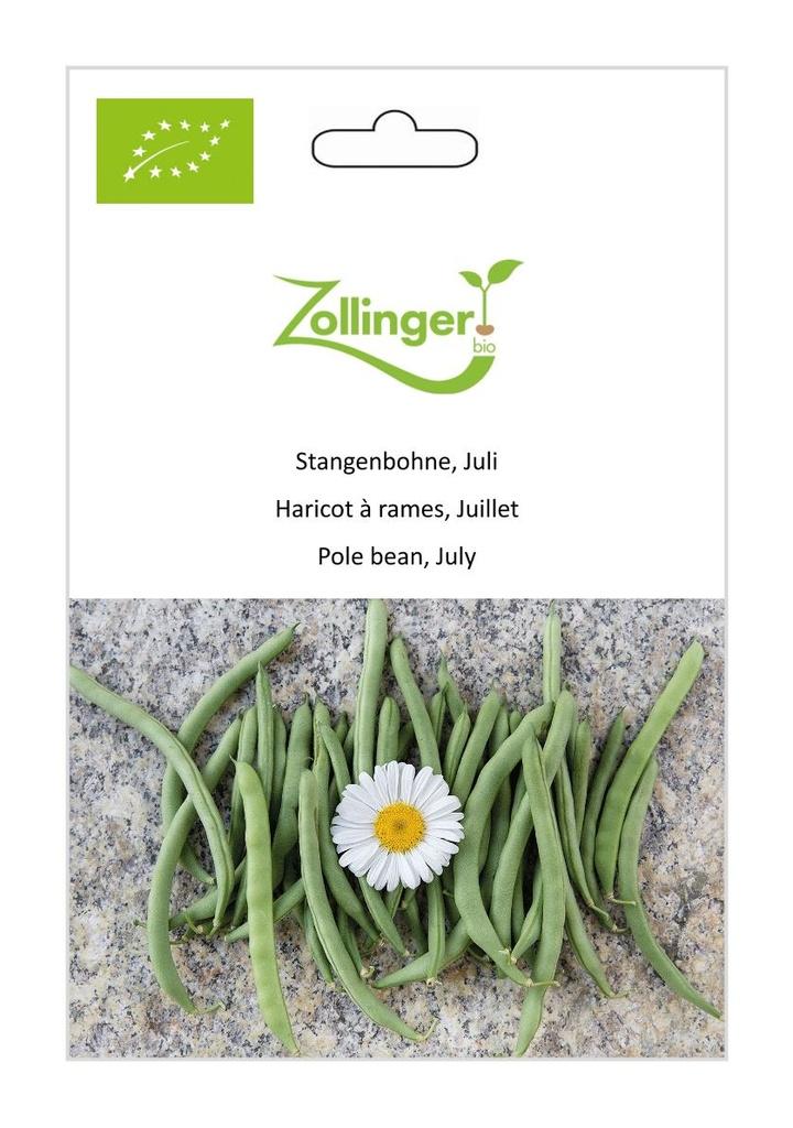 Stangenbohne Juli