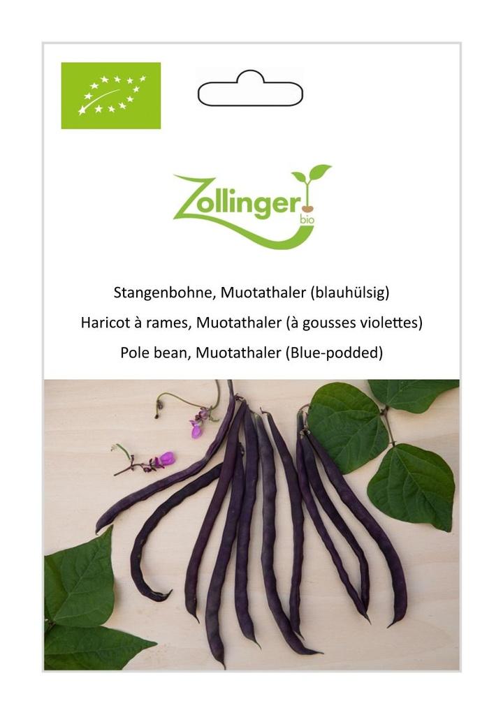 Stangenbohne Blaue Muotathal