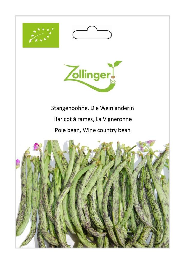 Stangenbohne Die Weinländerin