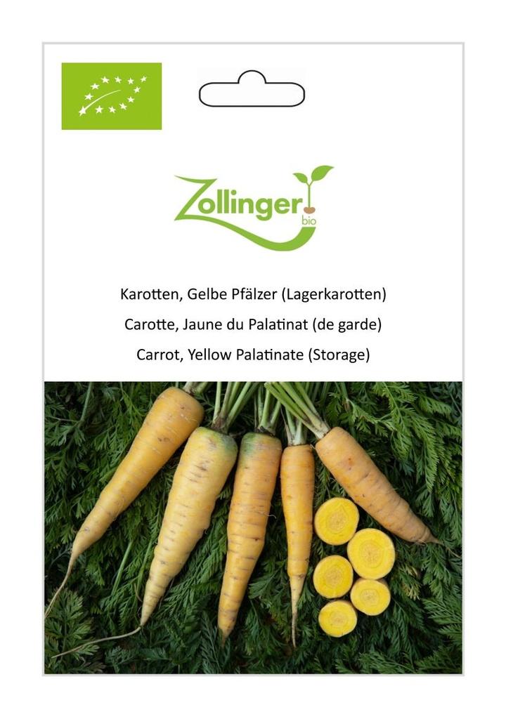 Karotten Gelbe Pfälzer