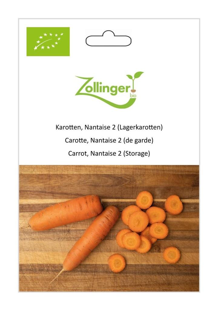Karotten Nantaise 2