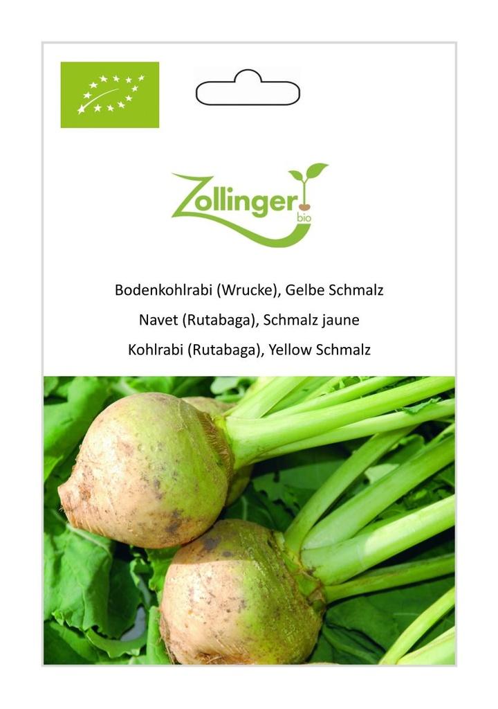 Bodenkohlrabi Gelbe Schmalz