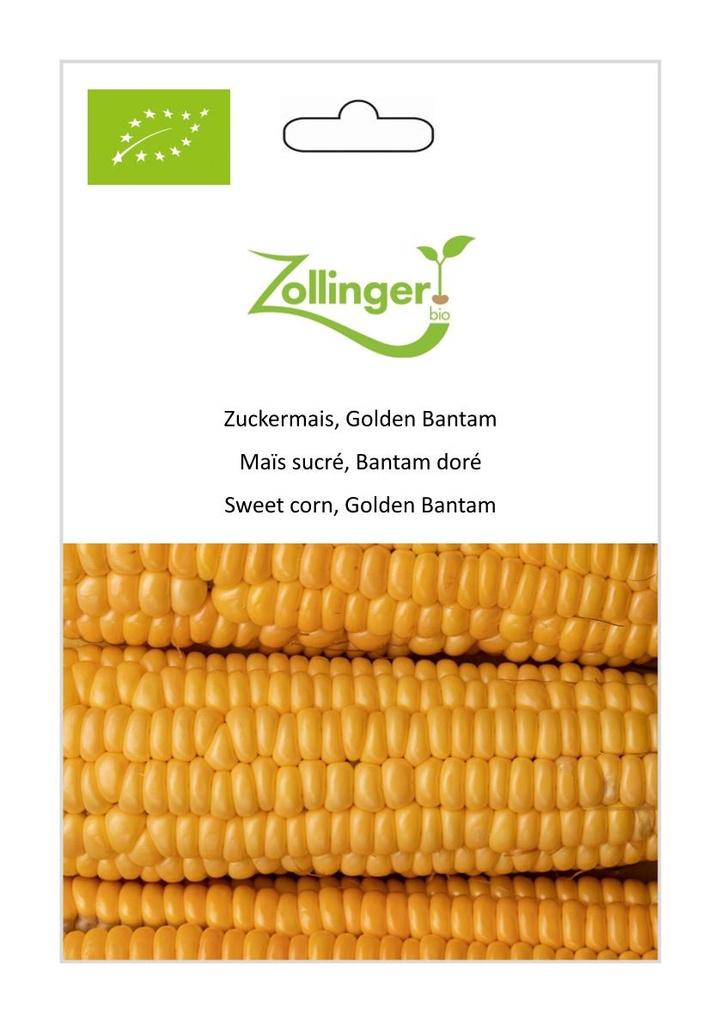 Zuckermais Golden Bantam