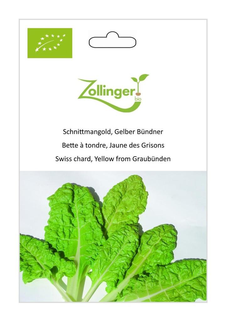 Schnittmangold Gelber Bündner