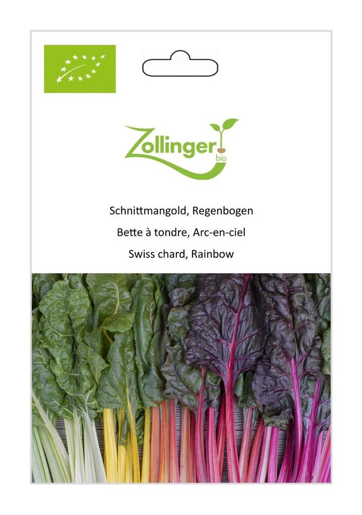 Schnittmangold Regenbogen