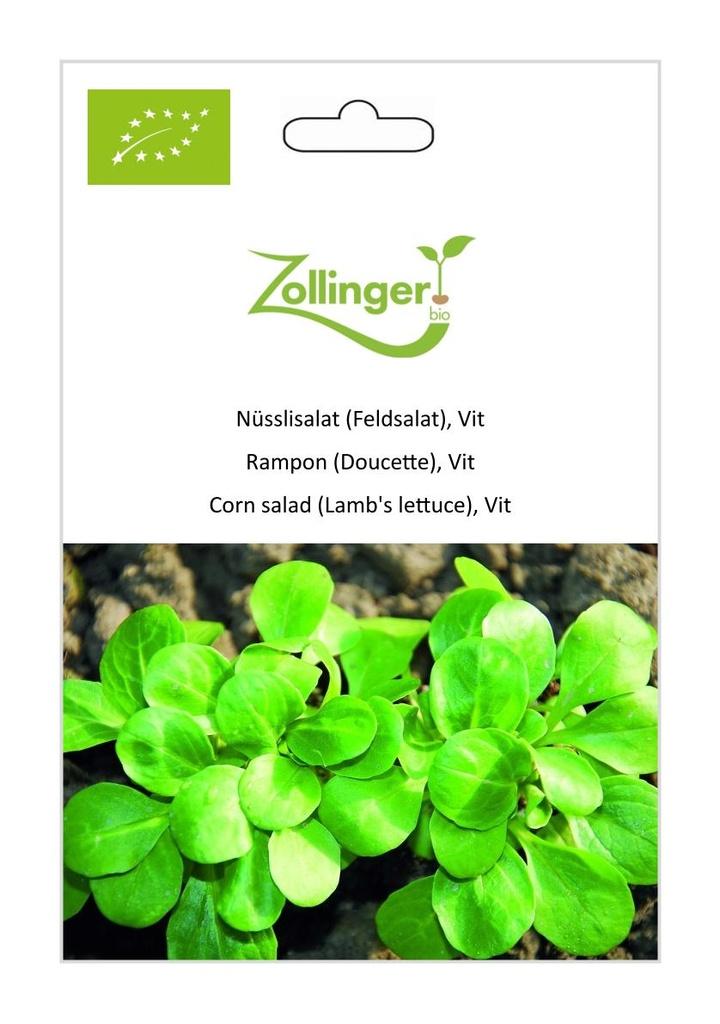 Nüsslisalat Vit