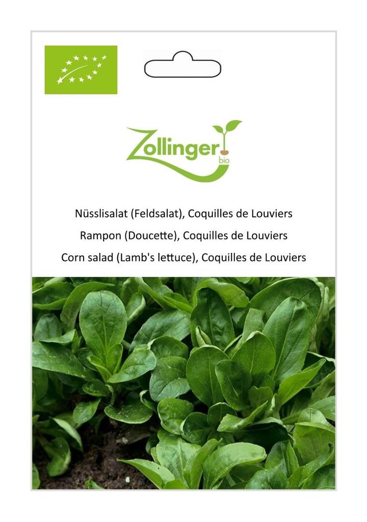 Nüsslisalat Coquilles de Louviers