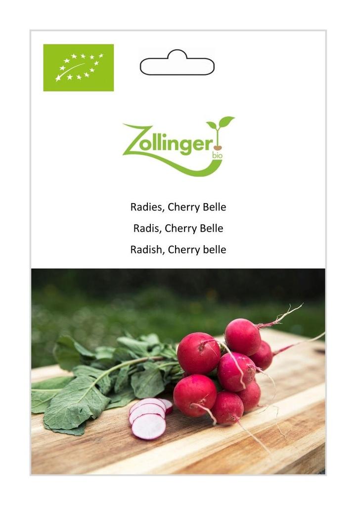 Radies Cherry Belle