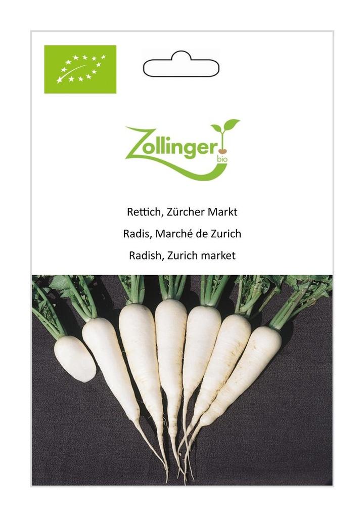 Rettich Zürcher Markt