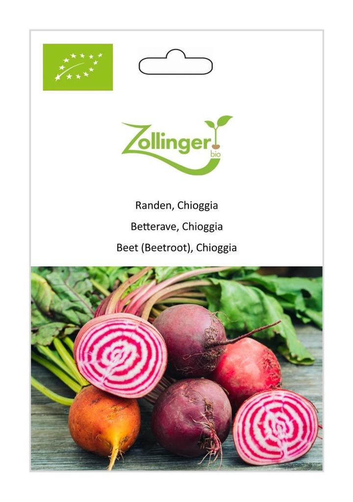 Rande Chioggia