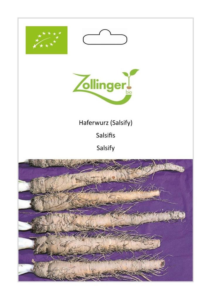 Haferwurzel Salsify