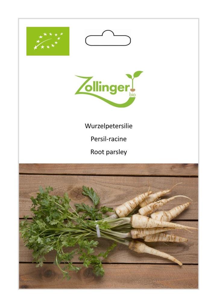 Wurzelpetersilie