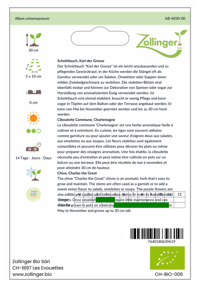 Schnittlauch Karl der Grosse - 0