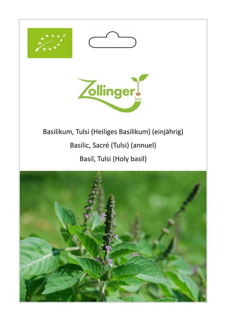 Basilikum Tulsi