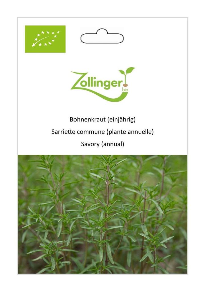 Bohnenkraut einjährig