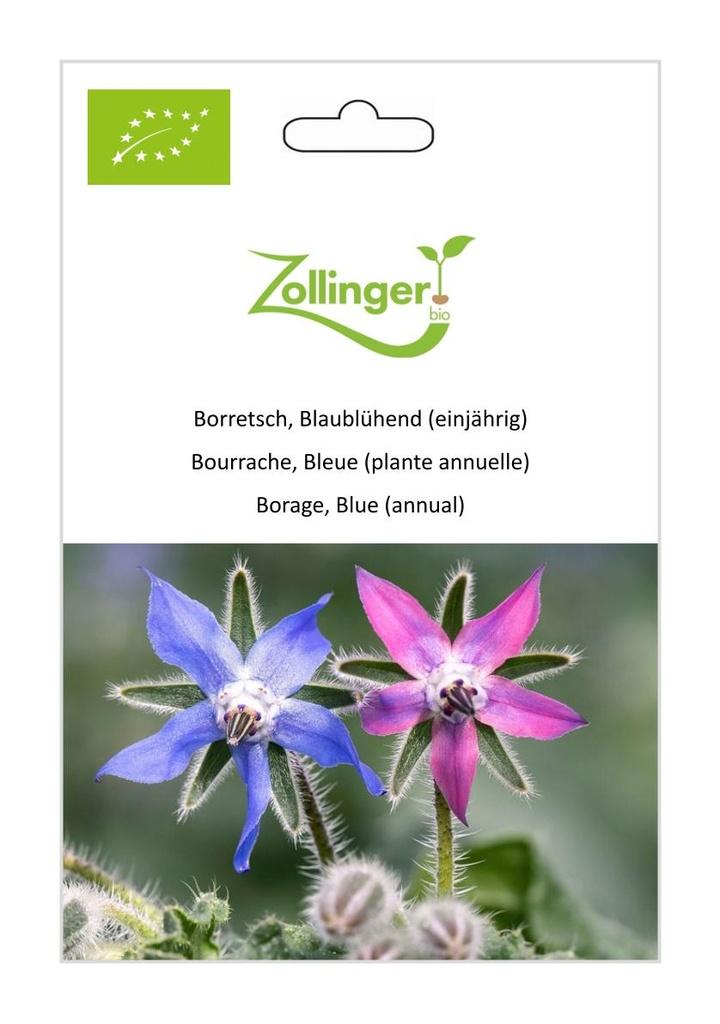 Borretsch Blaublühend