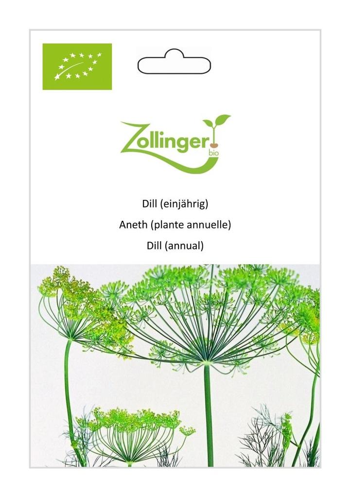 Dill