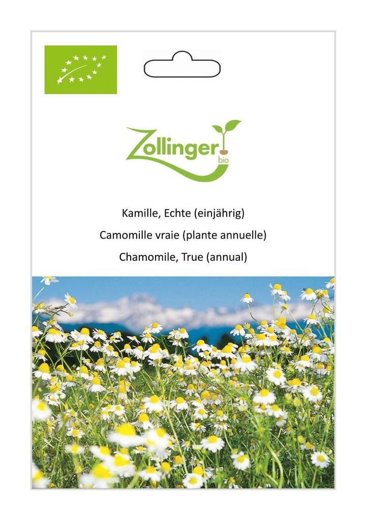 Echte Kamille