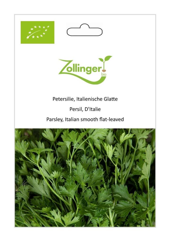 Petersilie Italienische Glatte