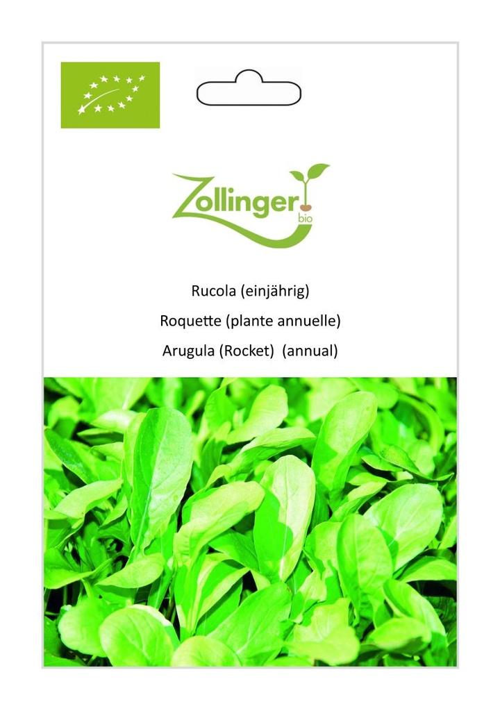 Rucola einjährig