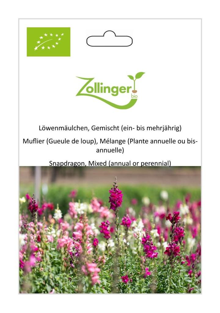 Löwenmäulchen Gemischt