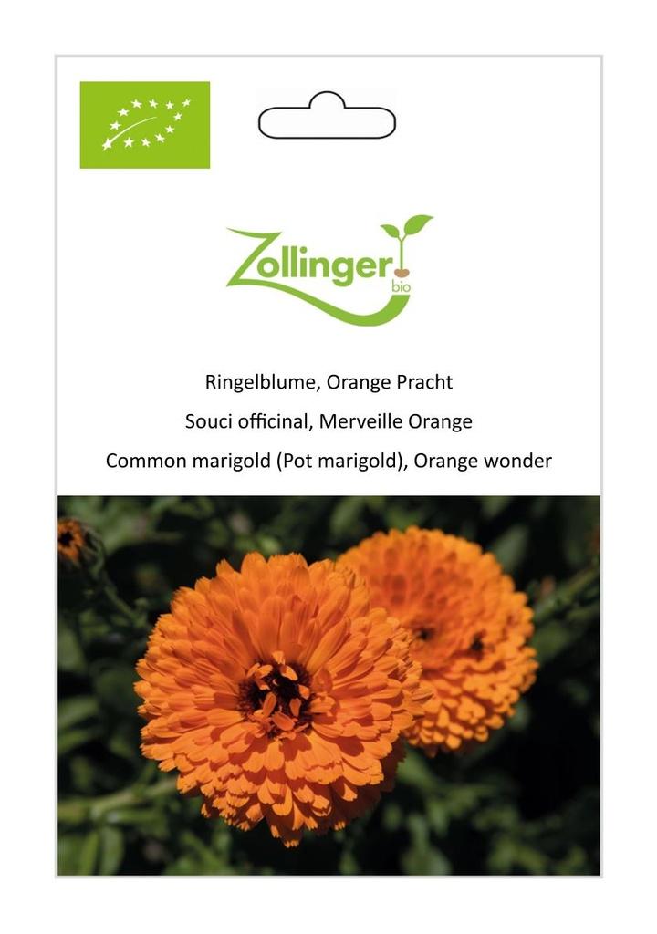 Ringelblume Orange Pracht