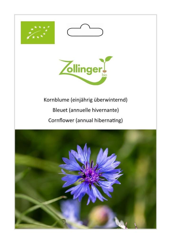 Kornblume