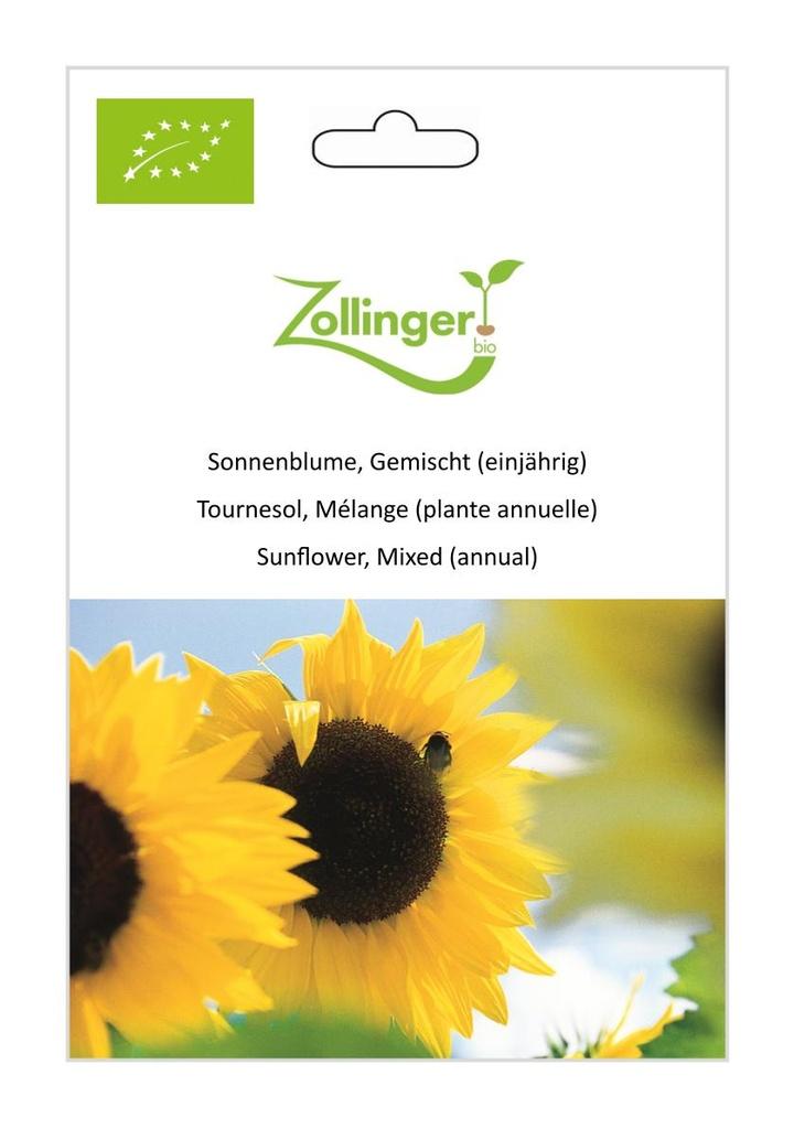 Sonnenblume Gemischt