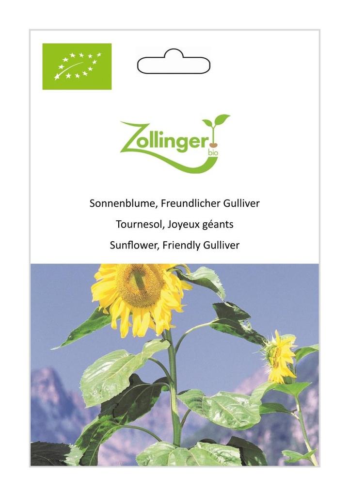 Sonnenblume Freundlicher Gulliver