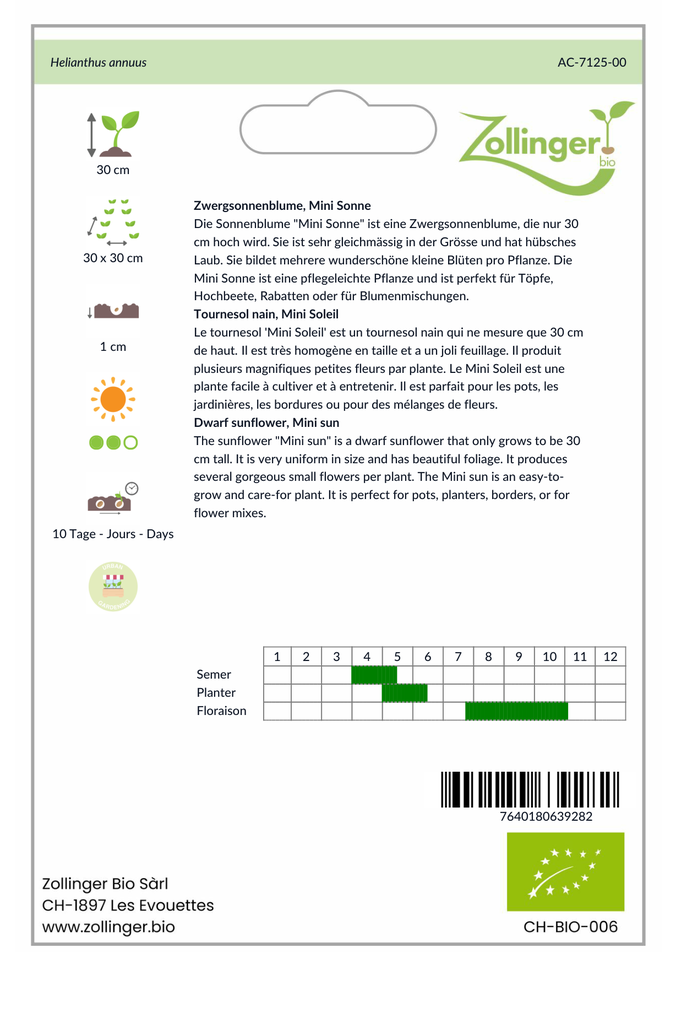 Sonnenblume Mini Sonne - 0