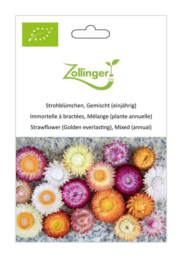 Strohblume Gemischt