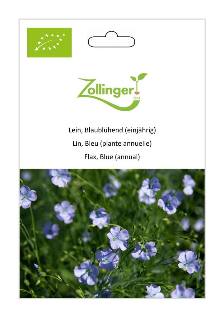 Gemeiner Lein (Flachs) Blaublühend
