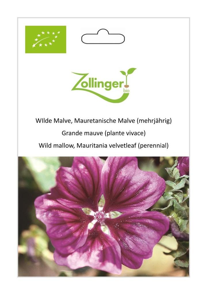Wilde Malve / Mauretanische