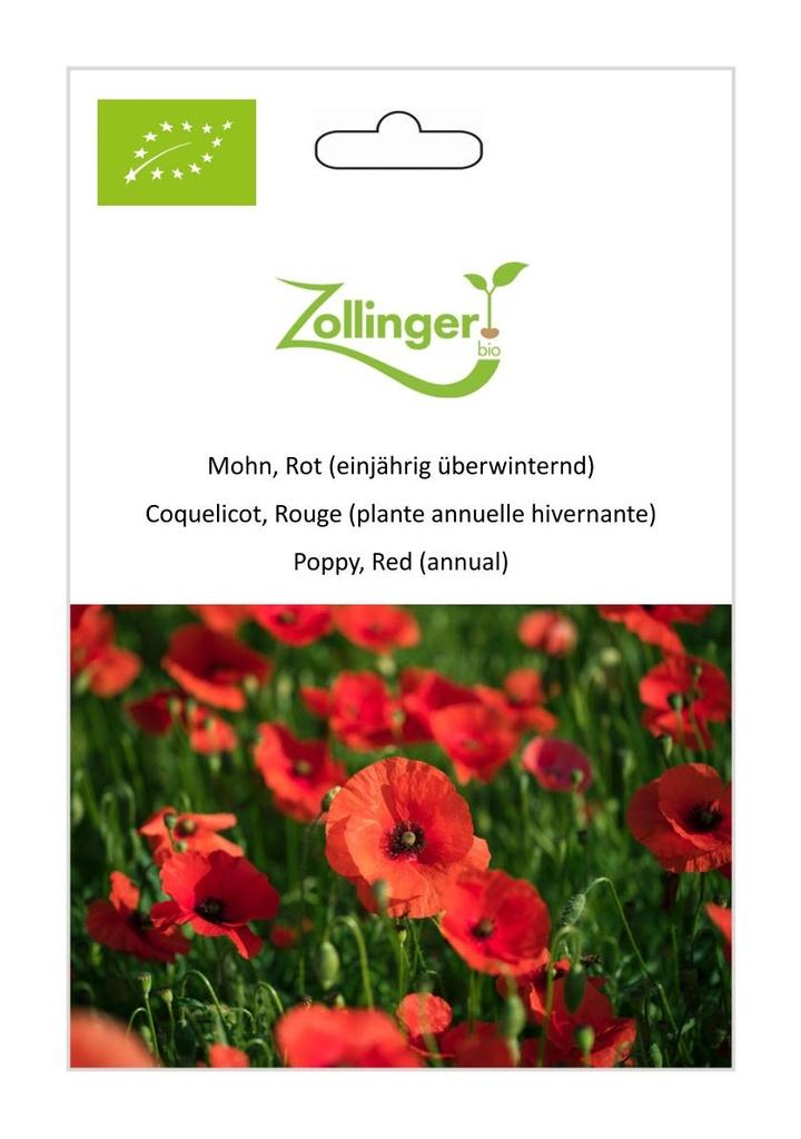 Klatschmohn Rot
