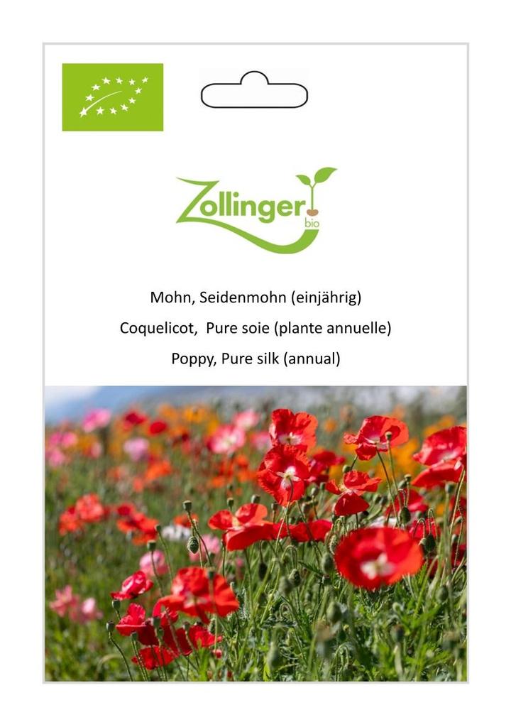 Seidenmohn