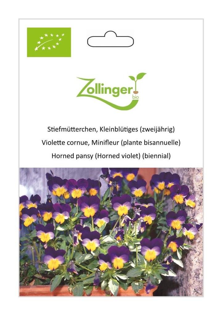 Stiefmütterchen Kleinblütiges