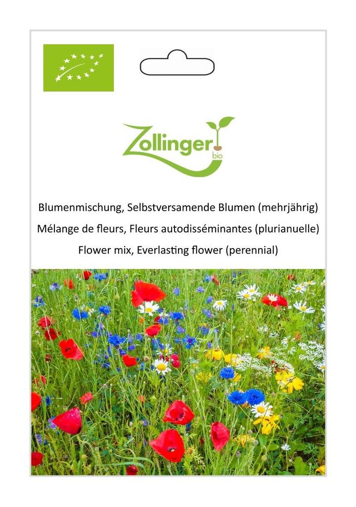 Blumenmischung Selbstversamende Blumen