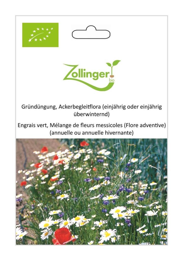 Gründüngung Ackerbegleitflora