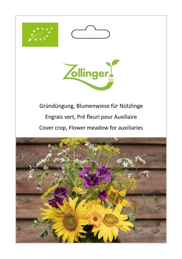 Gründüngung Blumenwiese für Nützlinge