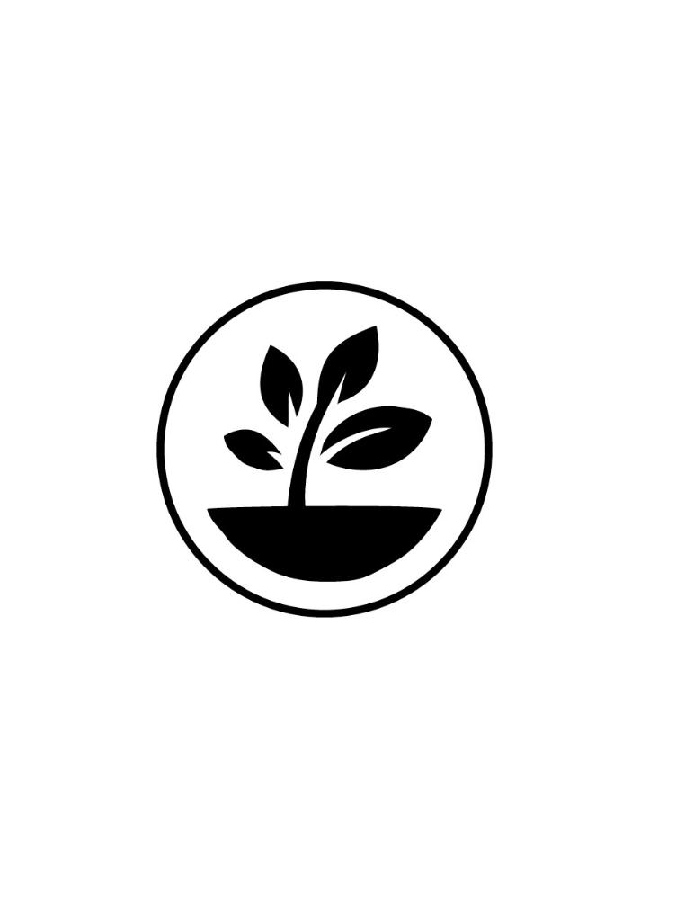 Asiasalat Mizuna