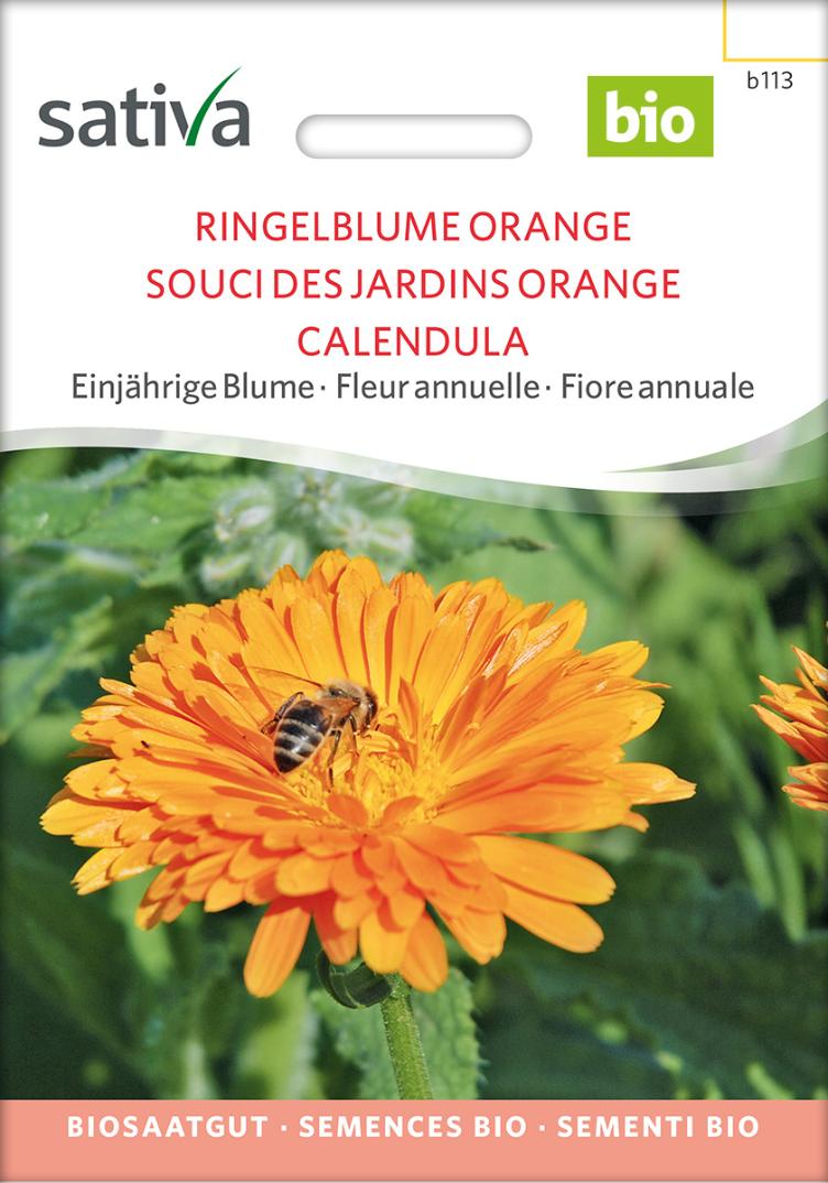Ringelblume `Orange`