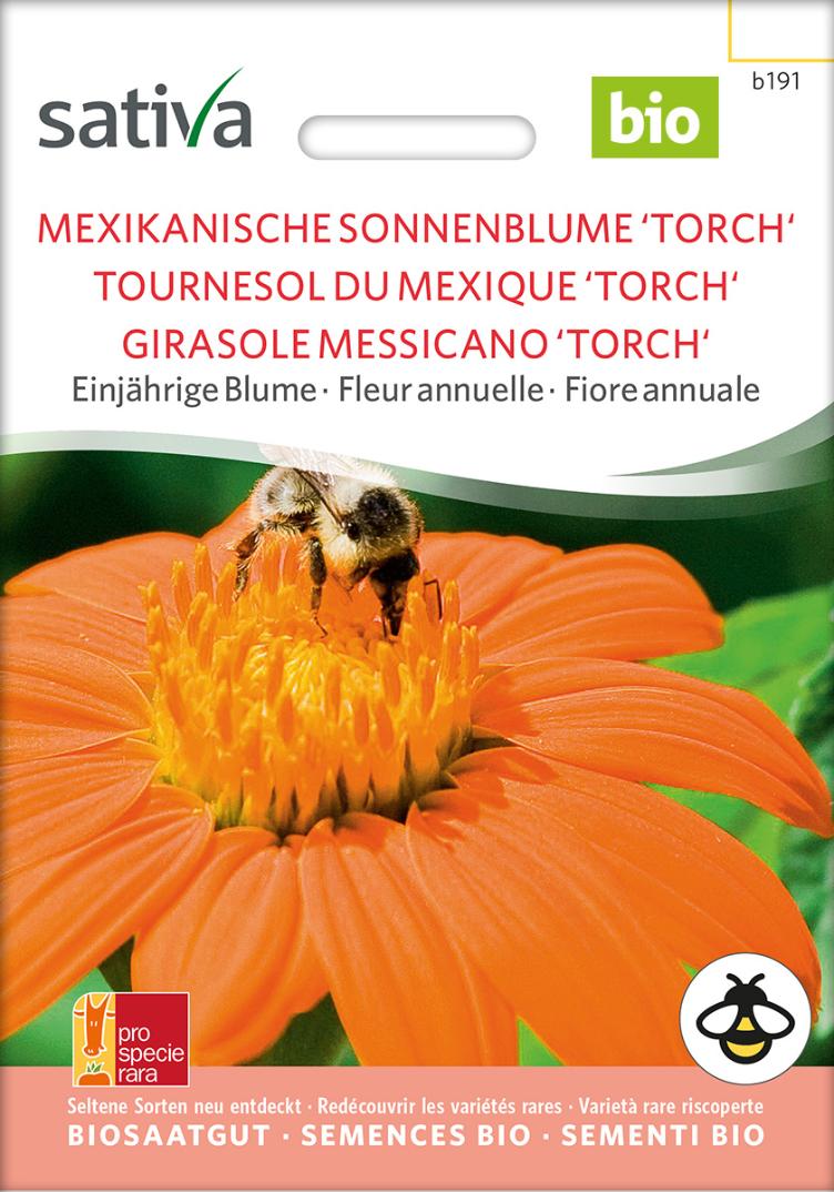 Mexikanische Sonnenblume `Torch`